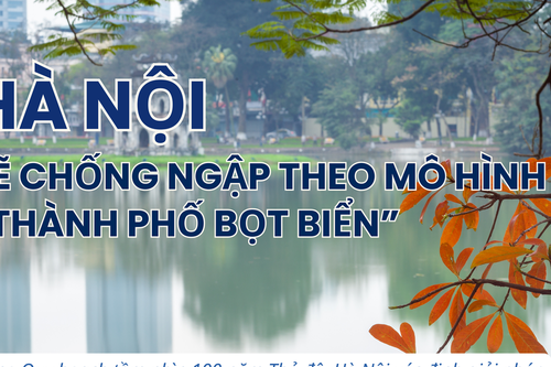 [Infographic] Hà Nội sẽ chống ngập theo mô hình 'Thành phố bọt biển'