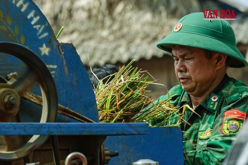 Mùa vàng nơi biên giới