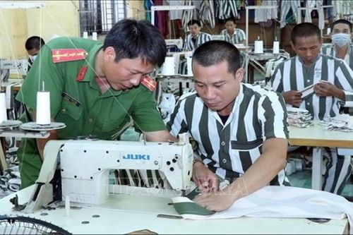 Phạm nhân được học văn hóa, học nghề và cấp chứng chỉ đào tạo nghề
