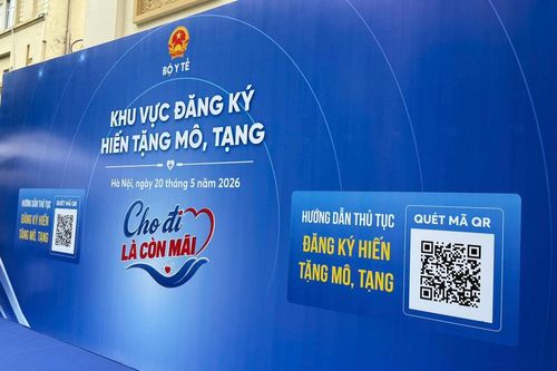 Cho đi là còn mãi: Thông điệp Ngày hưởng ứng hiến tặng mô, tạng 20/5 tại Việt Nam