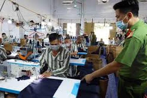 Phạm nhân được học văn hóa, học nghề và cấp chứng chỉ đào tạo nghề