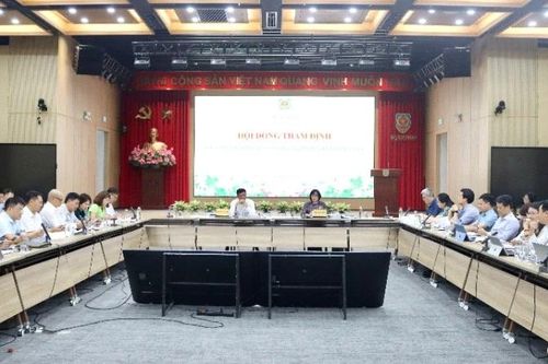Hoàn thiện khung pháp lý cho hoạt động hàng hải và đường thủy nội địa