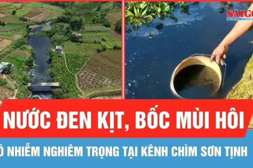 Quảng Ngãi: Xác định nguyên nhân ô nhiễm kênh chìm Sơn Tịnh
