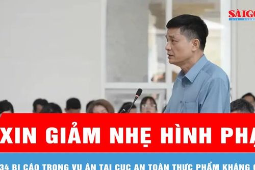 34 bị cáo trong vụ án tại Cục An toàn thực phẩm kháng cáo xin giảm nhẹ hình phạt