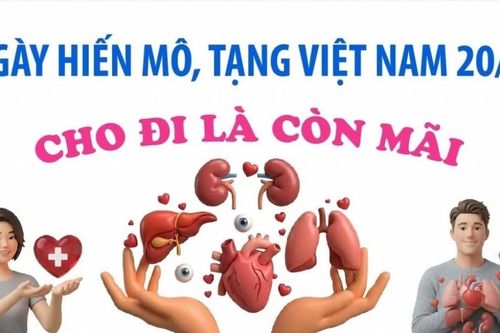 Tôn vinh hành trình nhân ái trong Ngày hiến mô, tạng Việt Nam