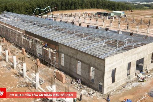 Nhà xưởng đã cho thuê trước khi thế chấp ngân hàng: Tòa án xử lý thế nào?