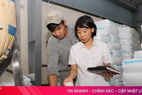 Giá hạt nhựa tăng 50 - 60%, doanh nghiệp Hà Tĩnh nỗ lực thích ứng