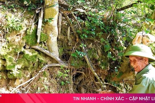 Sạt lở bờ sông đe dọa cuộc sống hàng trăm hộ dân