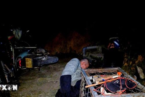 Bắt nhóm trộm 'thú cưng' từng gây bức xúc cho người dân Đà Lạt
