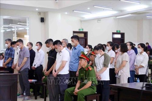 Xét xử phúc thẩm vụ án 'Đưa, nhận hối lộ' xảy ra tại Cục An toàn thực phẩm