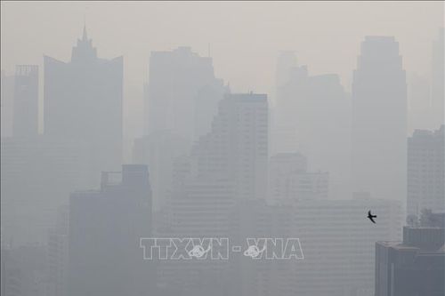 Ô nhiễm không khí - 'Sát thủ' âm thầm tấn công sức khỏe tinh thần
