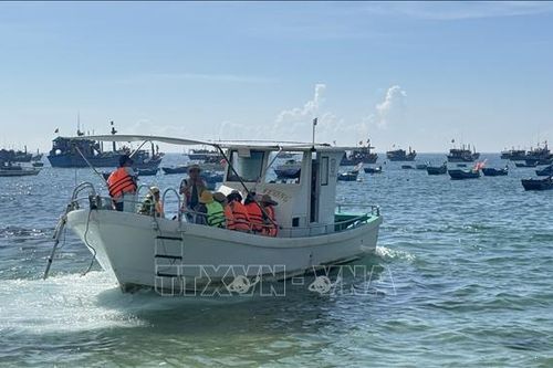 Nguy cơ mất an toàn từ các tour du lịch đường thủy tự phát