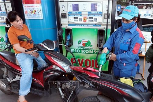 Điểm tin kinh tế Việt Nam nổi bật ngày 20/5/2026