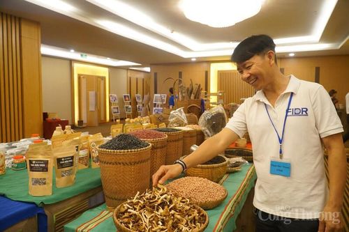 Thúc đẩy tiểu thủ công nghiệp và du lịch miền núi Đà Nẵng