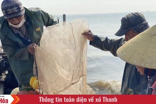 Nức lòng hương vị hải sản quê Thanh