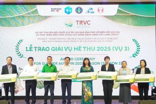 Doanh nghiệp làm 'đầu tàu' mở rộng hàng trăm nghìn ha lúa giảm phát thải