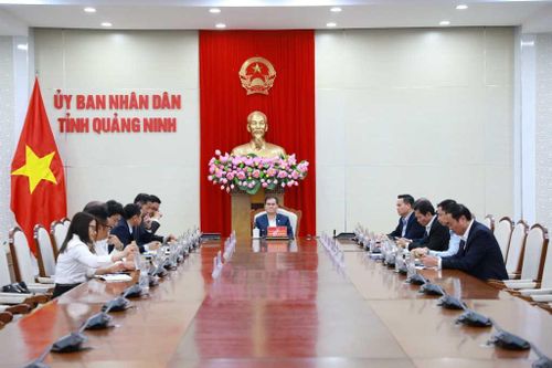 Nhà đầu tư Thái Lan và Nhật Bản mở rộng đầu tư tại Quảng Ninh
