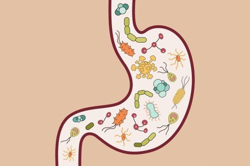 Bệnh viêm ruột mạn gia tăng ở người trẻ tại Việt Nam