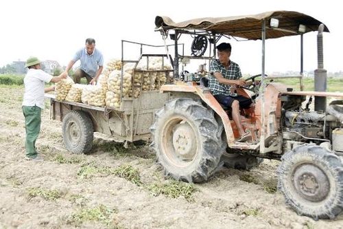 Bắc Ninh mở rộng quy mô hợp tác xã để tăng sức cạnh tranh
