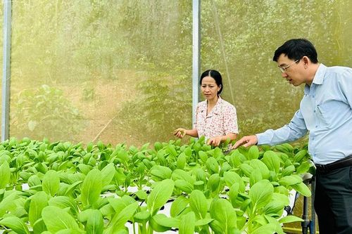 Đồng hành cùng nông dân phát triển bền vững