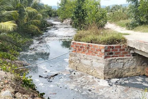 Đề Gi quyết xử lý ô nhiễm từ sơ chế mực xà