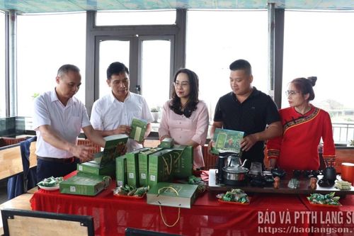 Đánh thức chè Shan tuyết