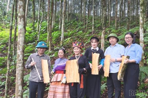 Lời mời gọi hấp dẫn từ nông nghiệp Lào Cai