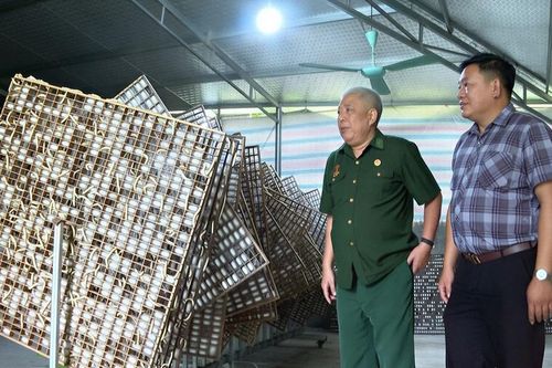Cựu chiến binh phường Âu Lâu bản lĩnh trên mặt trận kinh tế