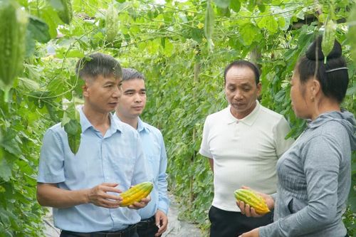 Liên Sơn cụ thể hóa nghị quyết bằng phát triển kinh tế - xã hội và xây dựng Đảng từ cơ sở