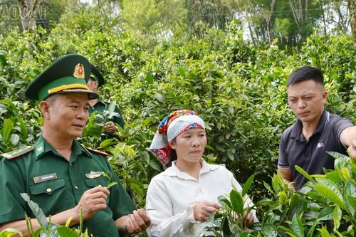 Ấm tình quân dân nơi biên giới A Mú Sung