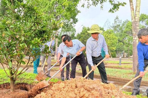 Góp thêm cây xanh bảo vệ môi trường