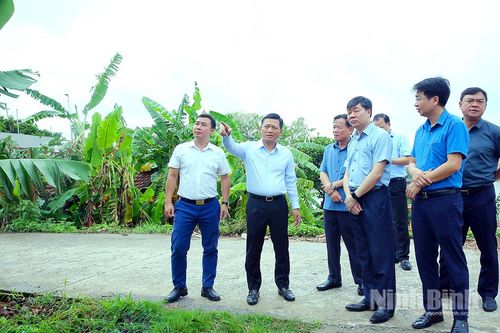 Kiểm điểm tiến độ Dự án xây dựng cầu Ninh Cường