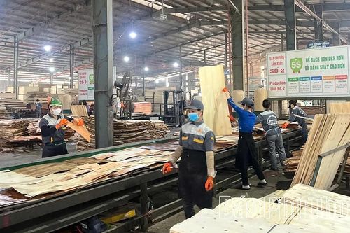 Hạ Hòa tăng cường đảm bảo an toàn lao động trong sản xuất