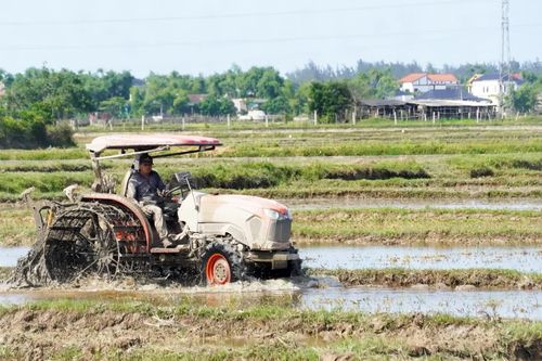 Bắc Gianh chủ động sản xuất vụ hè-thu