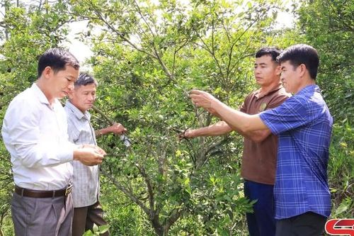 Cà Pống nỗ lực vươn lên