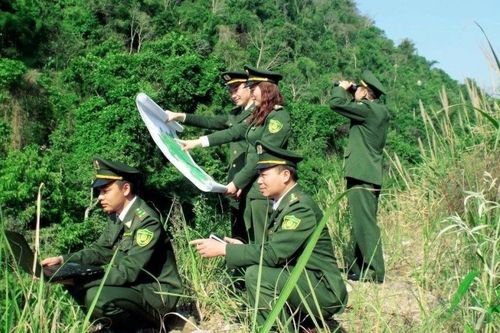 Bền bỉ giữ rừng, vun đắp màu xanh đất nước