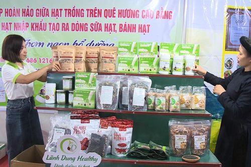 Năm 2026, phấn đấu 40% chủ thể OCOP mới xây dựng được chuỗi giá trị gắn với vùng nguyên liệu ổn định