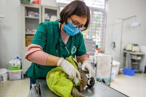 Hà Nội: Cụ thể hóa cam kết quốc tế về bảo tồn đa dạng sinh học