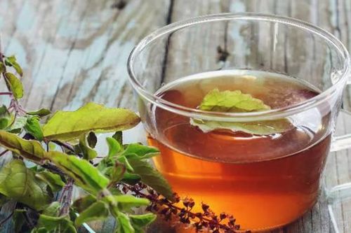 3 loại lá thông dụng hỗ trợ điều trị tăng huyết áp
