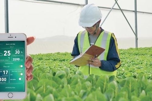 Hà Nội quyết tâm thúc đẩy IoT trong nông nghiệp