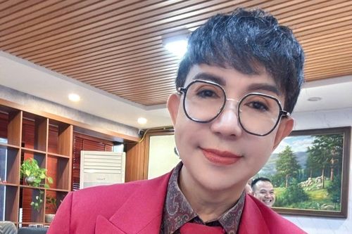 Sự nghiệp ồn ào của Long Nhật trước khi sụp đổ