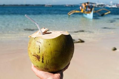 Uống bao nhiêu nước dừa là vừa đủ mà không bị 'quá tay'?