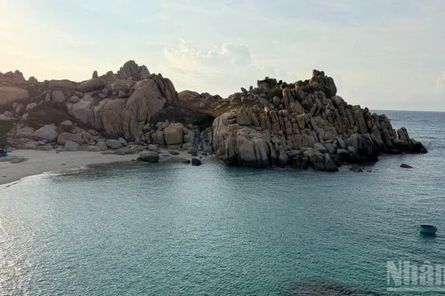 Hòn Cau: Điểm đến du lịch trải nghiệm thiên nhiên