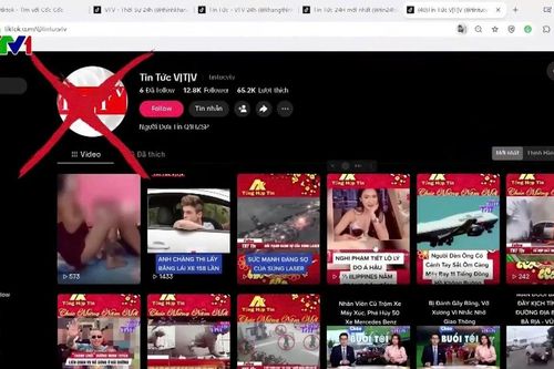 Gần 70 kênh, hội nhóm mạo danh VTV để cắt ghép nội dung, trục lợi bất hợp pháp