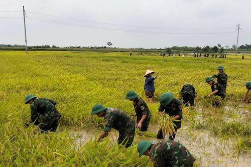 Sạt lở, ngập úng diện rộng ở Phú Thọ sau đợt mưa lớn kéo dài