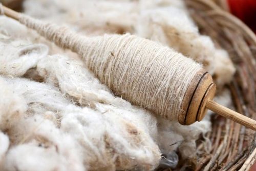 Biến len thành vật liệu hỗ trợ tái tạo xương