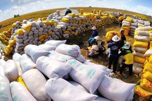 Đồng bằng sông Cửu Long: Chuyển dần từ 'vựa lúa' sang kinh tế nông nghiệp thích ứng