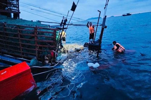 8 ngư dân gặp nạn trên vùng biển Cô Tô