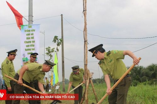 Tây Ninh đặt mục tiêu trồng mới 550ha rừng
