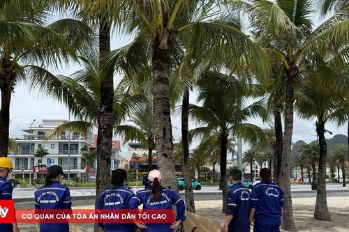 Hai ngư dân tử vong khi đánh bắt hải sản trên biển